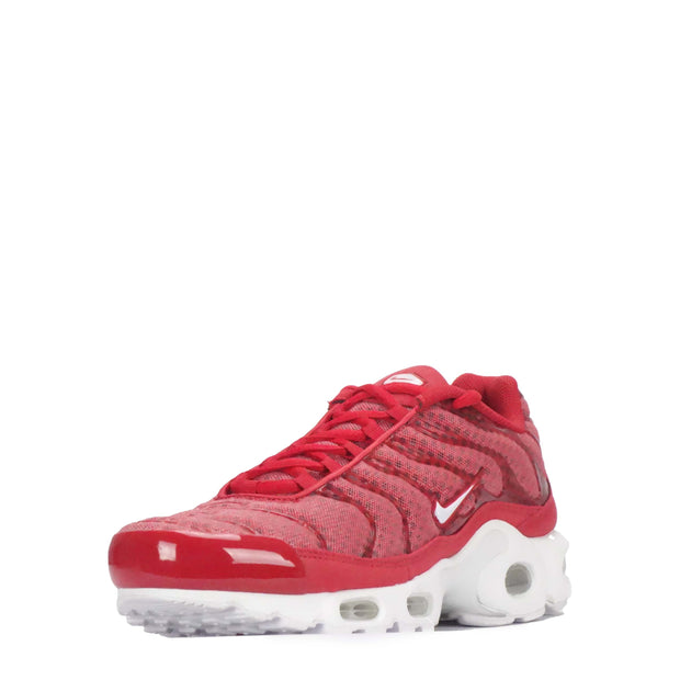 Nike Air Max Plus Men's Trainers