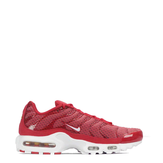 Nike Air Max Plus Men's Trainers